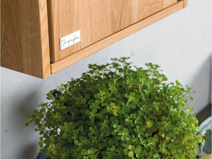 Am billigsten ✨ Die grüne Linie Hängeschrank Lina - 35/78/16 cm in braun ✔️ 6 Am billigsten ✨ Die grüne Linie Hängeschrank Lina - 35/78/16 cm in braun ✔️ – Bild 6