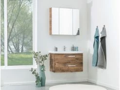Am billigsten 🛒 Pelipal Badezimmer-Block Valea in braun 🧨 -Badezimmerschränke Verkäufe 6485463 0559929 23680540 16