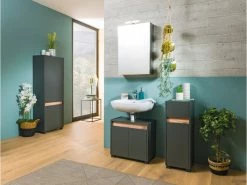 Rabatt 🎉 Vivre Spiegelschrank Cosmo - 50/71/16 cm in grau 🎁 -Badezimmerschränke Verkäufe 6545309 0576282 4 24312895